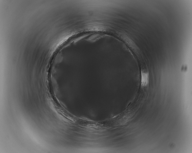 X0000114190627200910231321