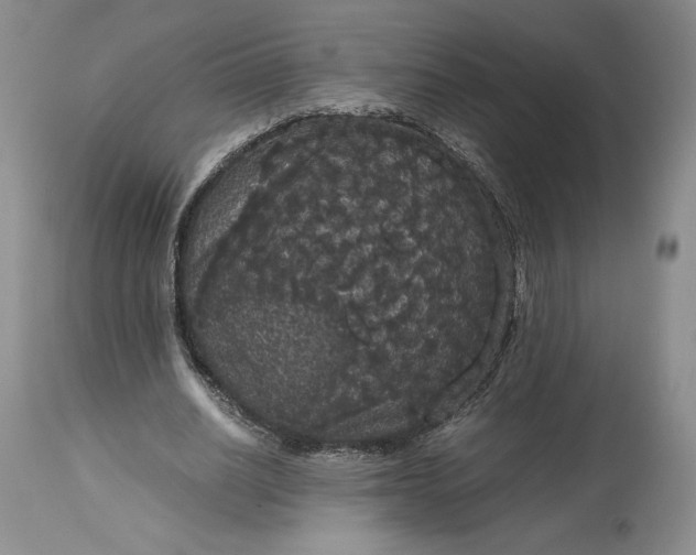 X0000114190630200910231321