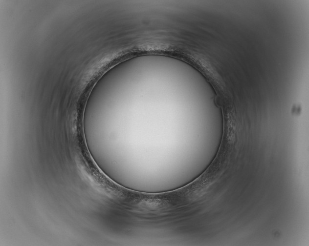 X0000114190631200910231321