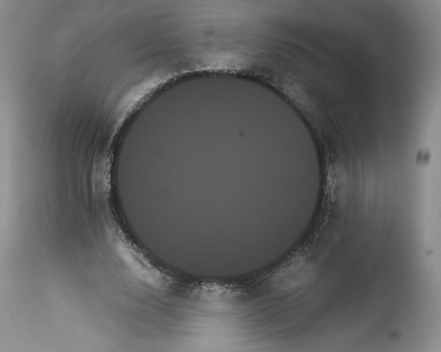 X0000114190632200910231322