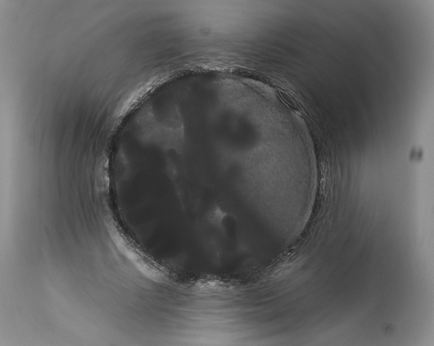X0000114190634200910231322