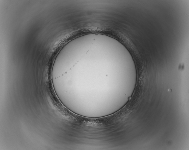 X0000114190635200910231322