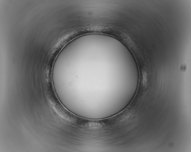 X0000114190636200910231322
