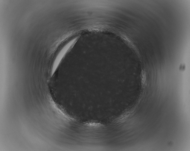 X0000114190637200910231322