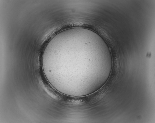 X0000114190638200910231322