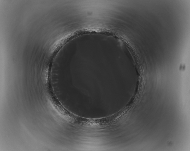 X0000114190640200910231322