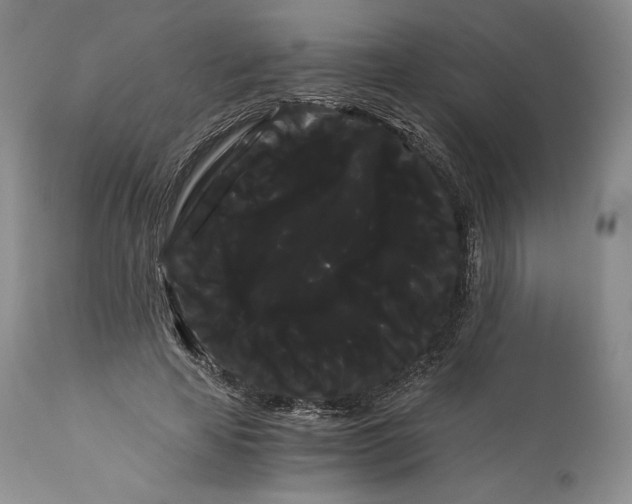 X0000114190641200910231322