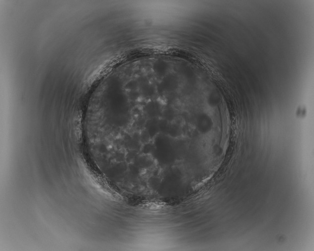 X0000114190642200910231322