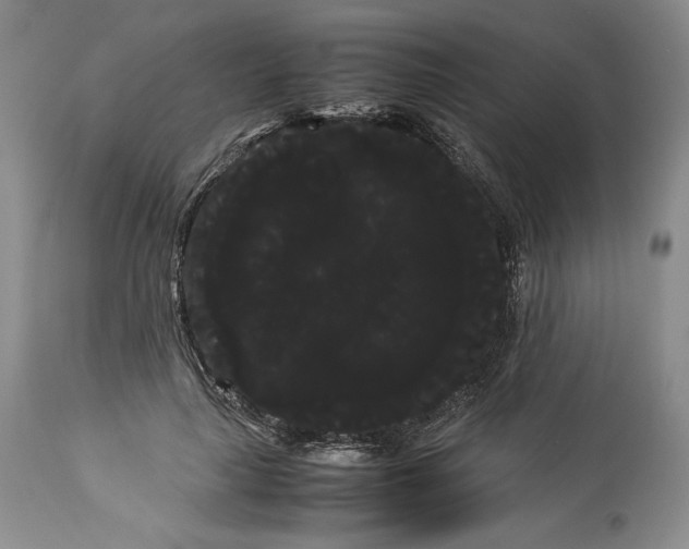 X0000114190643200910231322