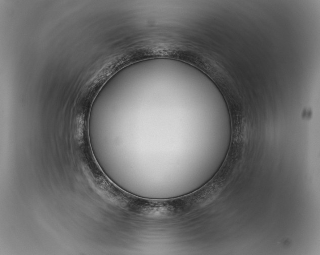 X0000114190646200910231322