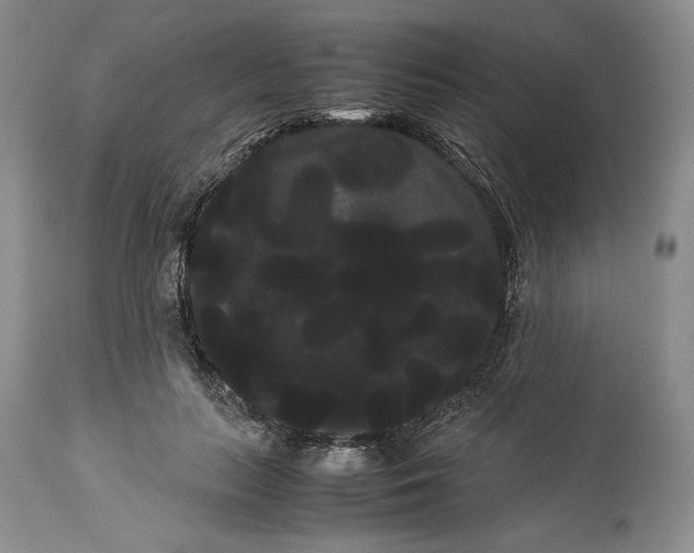 X0000114190647200910231322