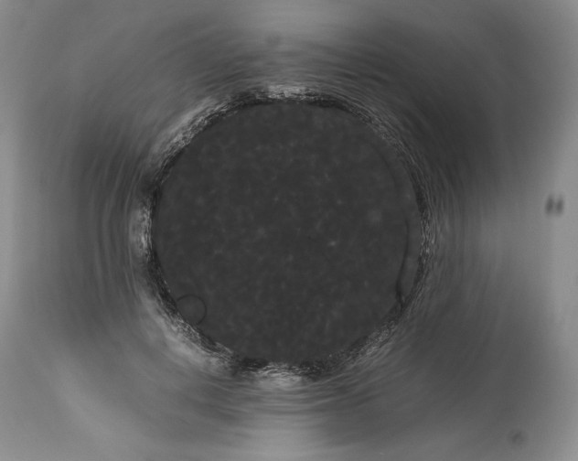 X0000114190648200910231322