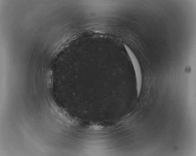 X0000114190650200910231322