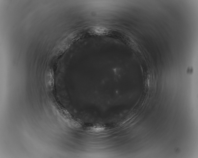 X0000114190651200910231322