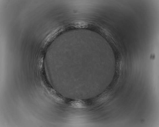 X0000114190652200910231322