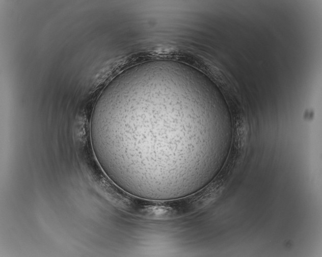X0000114190654200910231322