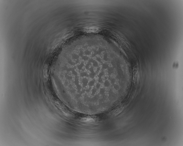 X0000114190655200910231322