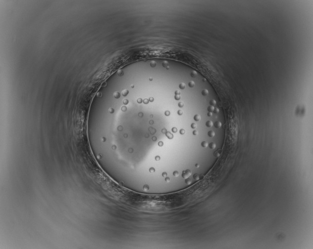 X0000114190657200910231322