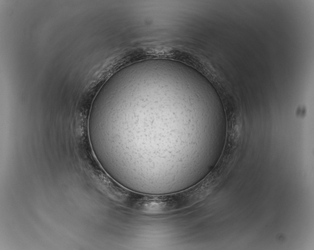 X0000114190658200910231322