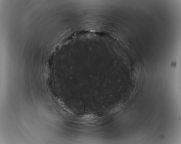 X0000114190659200910231322