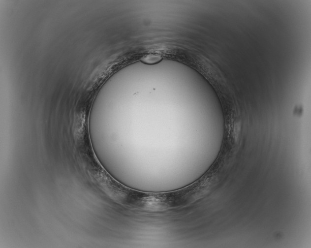 X0000114190660200910231322