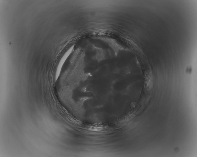 X0000114190661200910231322