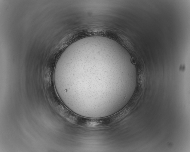 X0000114190662200910231322