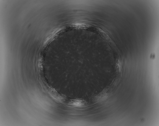 X0000114190663200910231322