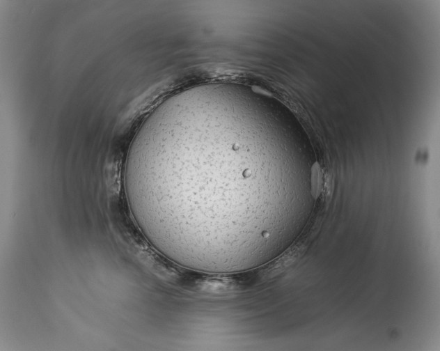 X0000114190666200910231322