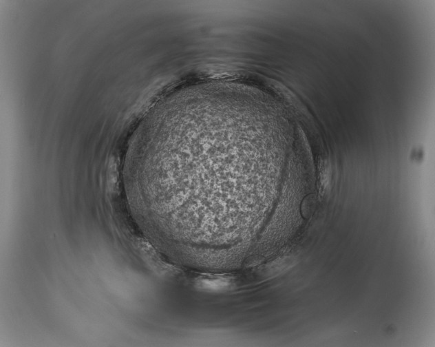 X0000114190667200910231322