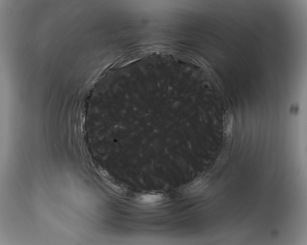 X0000114190669200910231322