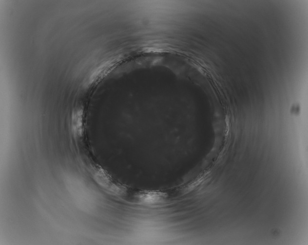X0000114190670200910231322