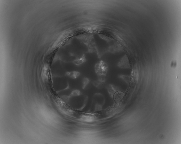 X0000114190671200910231322