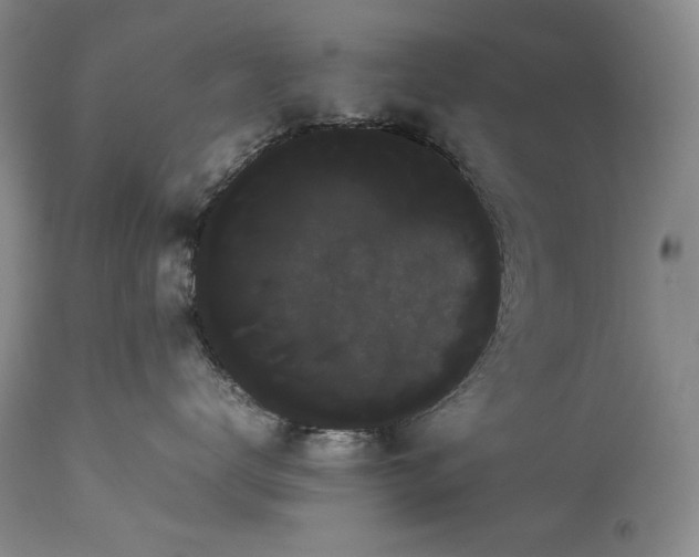 X0000114190672200910231322