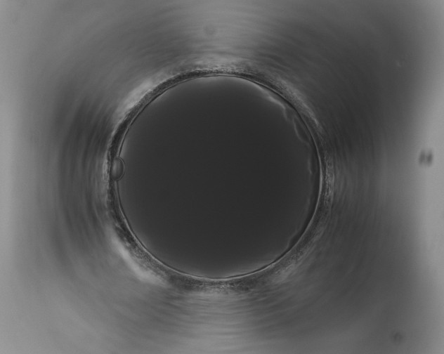 X0000114190674200910231321