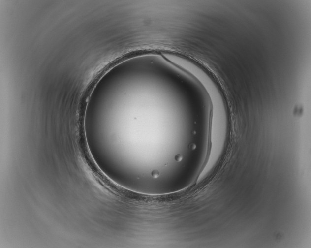 X0000114190677200910231321