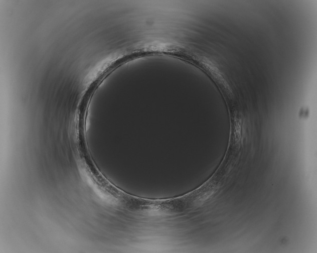 X0000114190678200910231321