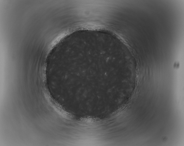 X0000114190679200910231321