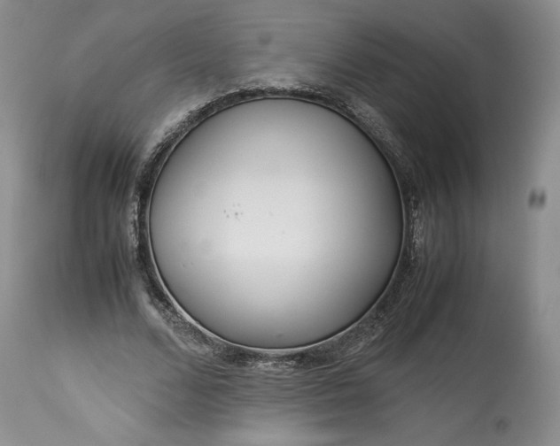 X0000114190680200910231321
