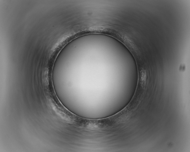 X0000114190684200910231321