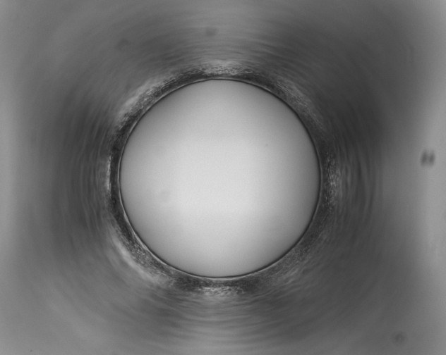 X0000114190686200910231321