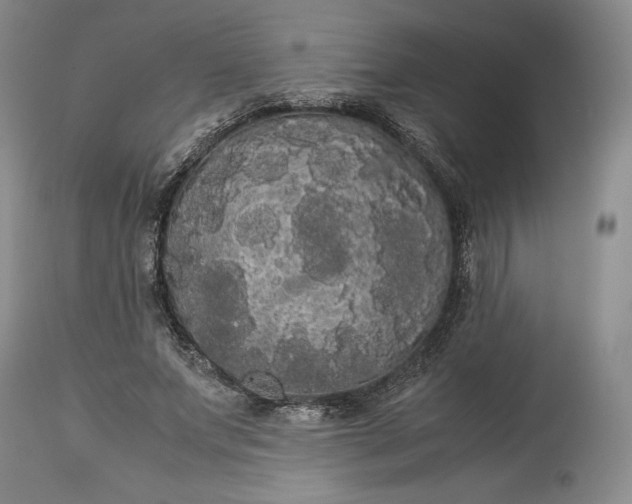 X0000114190687200910231321