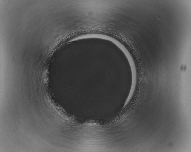 X0000114190689200910231321