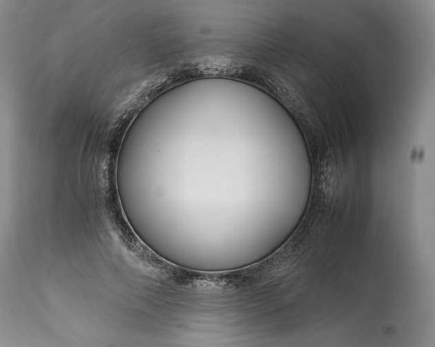 X0000114190690200910231321