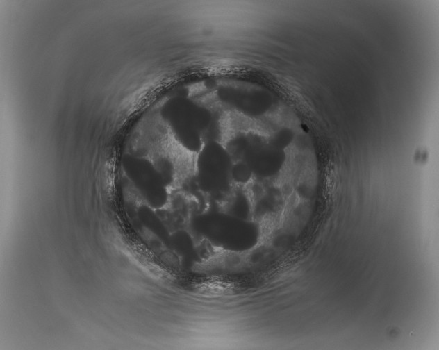X0000114190691200910231321