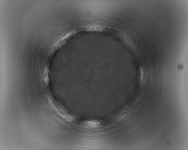 X0000114190692200910231321