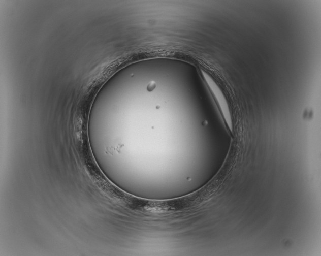 X0000114190693200910231321