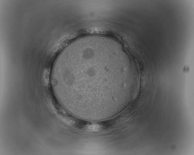 X0000114190695200910231321