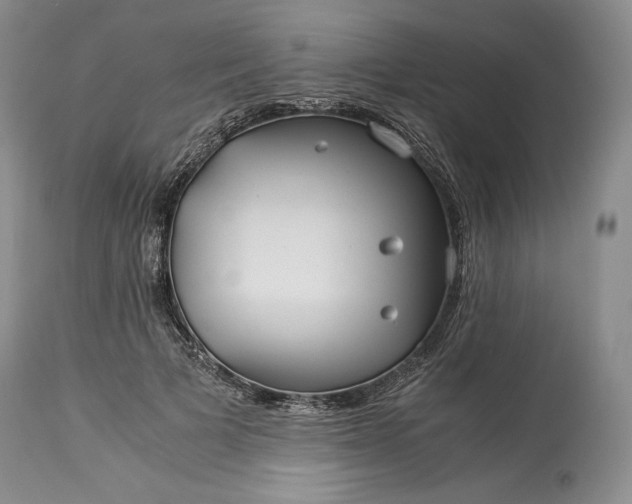 X0000114190697200910231321