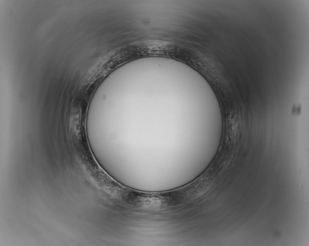 X0000114190698200910231321